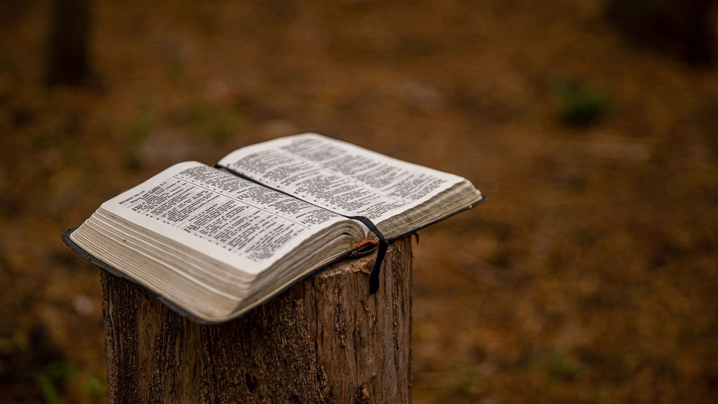 Biblia abierta a la luz del atardecer